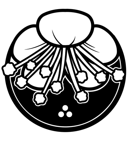 logo_kenyukai
